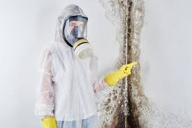 Best Commercial Mold Inspection  in Alpine, TX